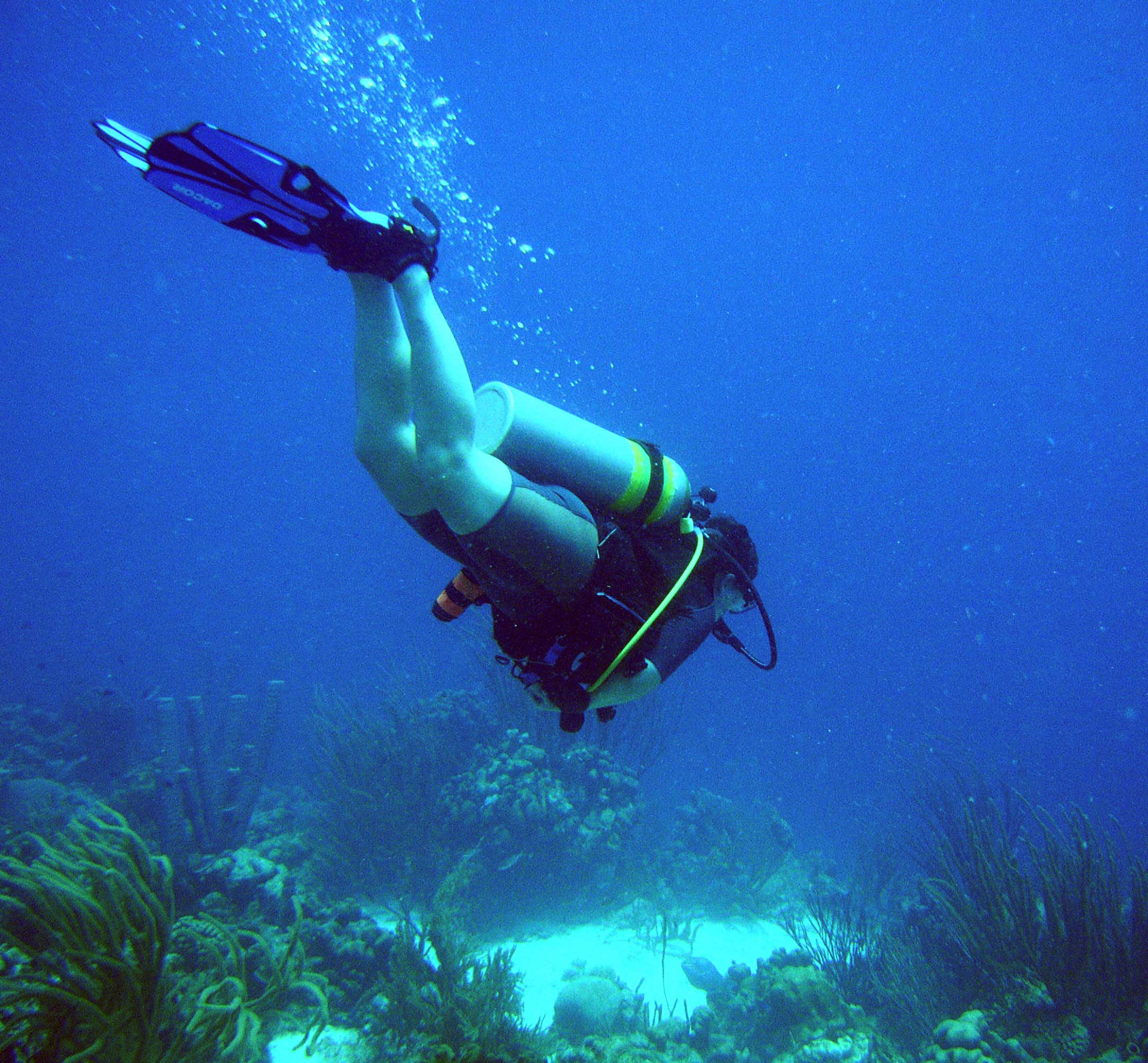 Diver Underwater